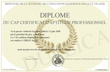 Exemplul de certificat de aptitudini profesionale franceze